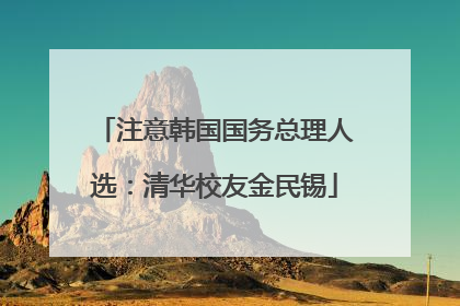 注意韩国国务总理人选：清华校友金民锡
