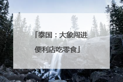 泰国：大象闯进便利店吃零食
