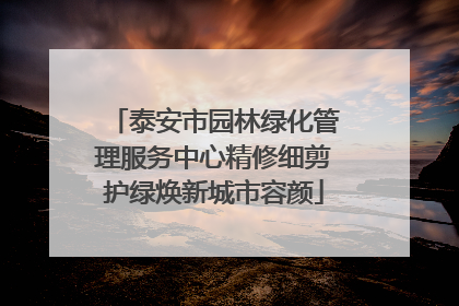 泰安市园林绿化管理服务中心精修细剪护绿焕新城市容颜