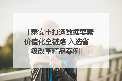 泰安市打通数据要素价值化全链路 入选省级改革精品案例