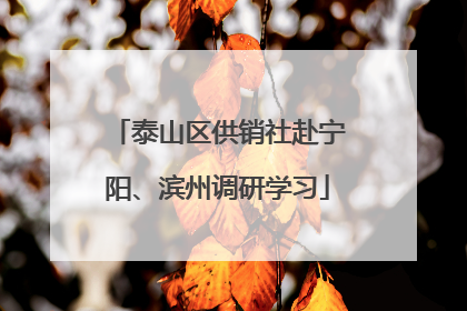 泰山区供销社赴宁阳、滨州调研学习