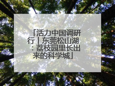 活力中国调研行丨东莞松山湖：荔枝园里长出来的科学城