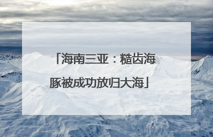 海南三亚：糙齿海豚被成功放归大海