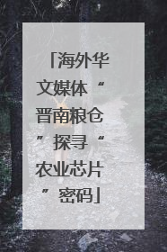 海外华文媒体“晋南粮仓”探寻“农业芯片”密码