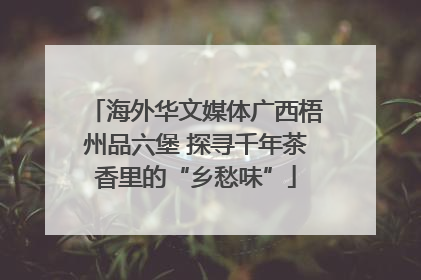 海外华文媒体广西梧州品六堡 探寻千年茶香里的“乡愁味”