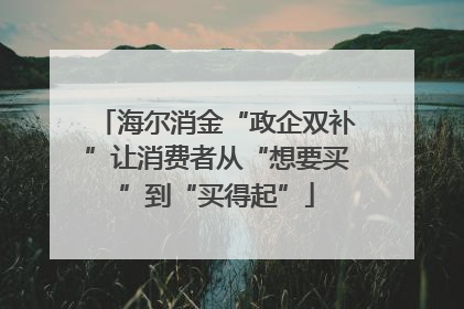 海尔消金“政企双补”让消费者从“想要买”到“买得起”