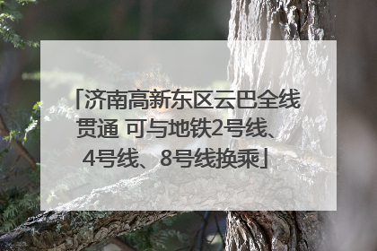 济南高新东区云巴全线贯通 可与地铁2号线、4号线、8号线换乘