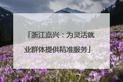 浙江嘉兴：为灵活就业群体提供精准服务