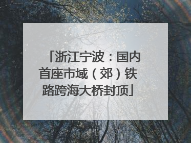 浙江宁波：国内首座市域（郊）铁路跨海大桥封顶