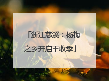 浙江慈溪：杨梅之乡开启丰收季