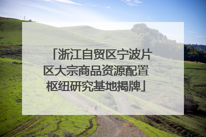 浙江自贸区宁波片区大宗商品资源配置枢纽研究基地揭牌