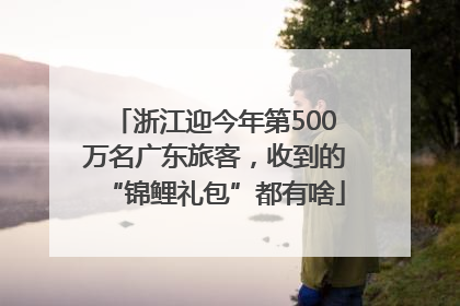 浙江迎今年第500万名广东旅客，收到的“锦鲤礼包”都有啥