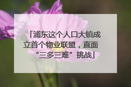 浦东这个人口大镇成立首个物业联盟，直面“三多三难”挑战