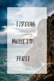 浮宫杨梅出口季开启