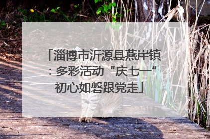 淄博市沂源县燕崖镇：多彩活动“庆七一” 初心如磐跟党走