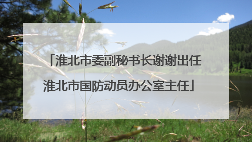 淮北市委副秘书长谢谢出任淮北市国防动员办公室主任