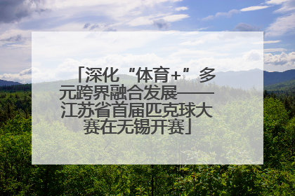 深化“体育+”多元跨界融合发展——江苏省首届匹克球大赛在无锡开赛