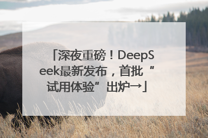 深夜重磅！DeepSeek最新发布，首批“试用体验”出炉→