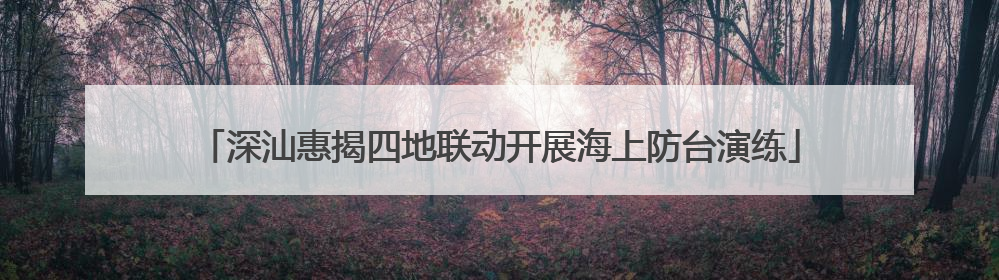 深汕惠揭四地联动开展海上防台演练