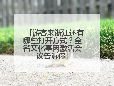 游客来浙江还有哪些打开方式？全省文化基因激活会议告诉你