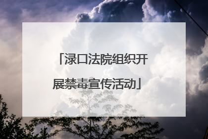 渌口法院组织开展禁毒宣传活动
