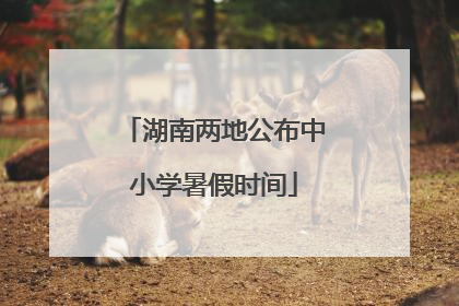 湖南两地公布中小学暑假时间
