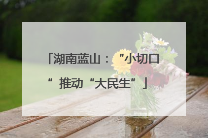 湖南蓝山：“小切口”推动“大民生”