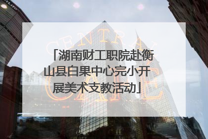 湖南财工职院赴衡山县白果中心完小开展美术支教活动