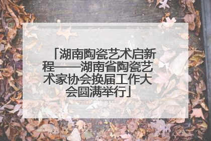 湖南陶瓷艺术启新程——湖南省陶瓷艺术家协会换届工作大会圆满举行