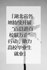 湖北省各地持续开展“百县进百校联万企”行动，助力高校毕业生就业