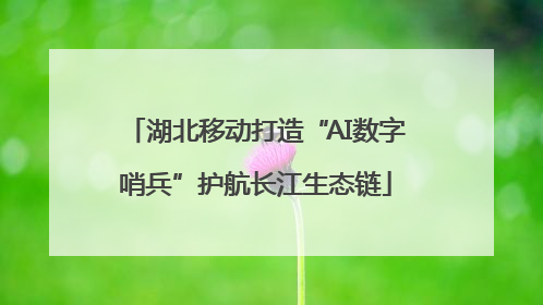 湖北移动打造“AI数字哨兵”护航长江生态链