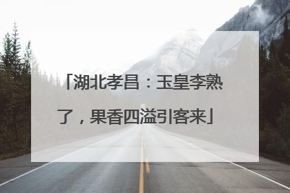 湖北孝昌：玉皇李熟了，果香四溢引客来