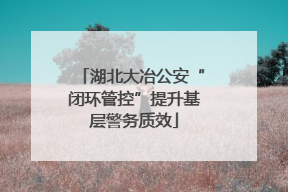 湖北大冶公安“闭环管控”提升基层警务质效