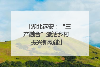湖北远安：“三产融合”激活乡村振兴新动能