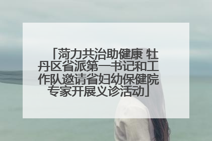 菏力共治助健康 牡丹区省派第一书记和工作队邀请省妇幼保健院专家开展义诊活动