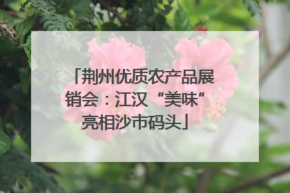 荆州优质农产品展销会：江汉“美味”亮相沙市码头