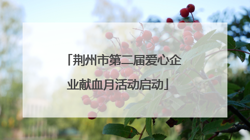 荆州市第二届爱心企业献血月活动启动