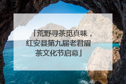荒野寻茶觅真味，红安县第九届老君眉茶文化节启幕