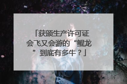 获颁生产许可证 会飞又会游的“鲲龙”到底有多牛？