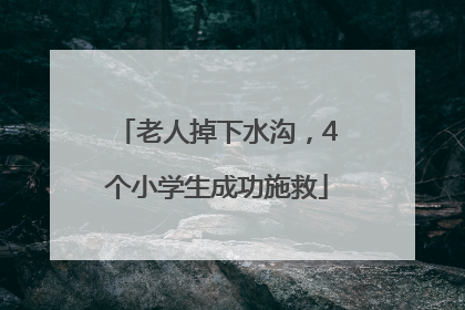 老人掉下水沟，4个小学生成功施救