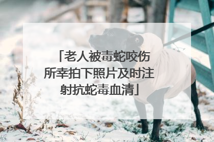 老人被毒蛇咬伤 所幸拍下照片及时注射抗蛇毒血清