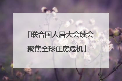 联合国人居大会续会聚焦全球住房危机