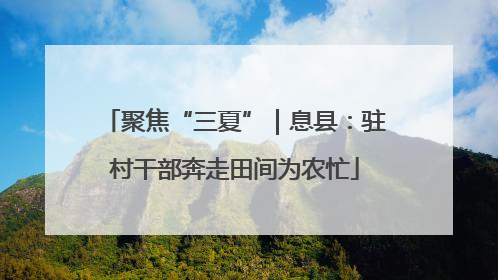 聚焦“三夏”｜息县：驻村干部奔走田间为农忙