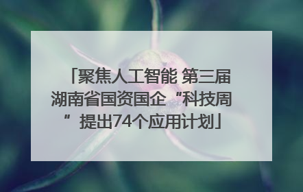 聚焦人工智能 第三届湖南省国资国企“科技周”提出74个应用计划