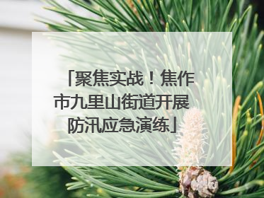聚焦实战！焦作市九里山街道开展防汛应急演练