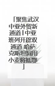 聚焦武汉中亚外贸新通道│中亚班列开辟双通道 哈萨克斯坦饲用小麦将抵鄂
