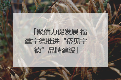 聚侨力促发展 福建宁德推进“侨见宁德”品牌建设
