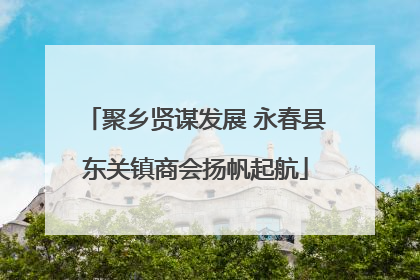 聚乡贤谋发展 永春县东关镇商会扬帆起航