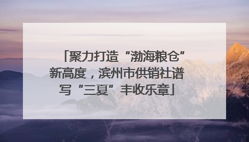 聚力打造“渤海粮仓”新高度，滨州市供销社谱写“三夏”丰收乐章