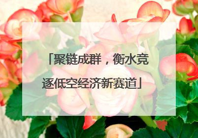聚链成群，衡水竞逐低空经济新赛道